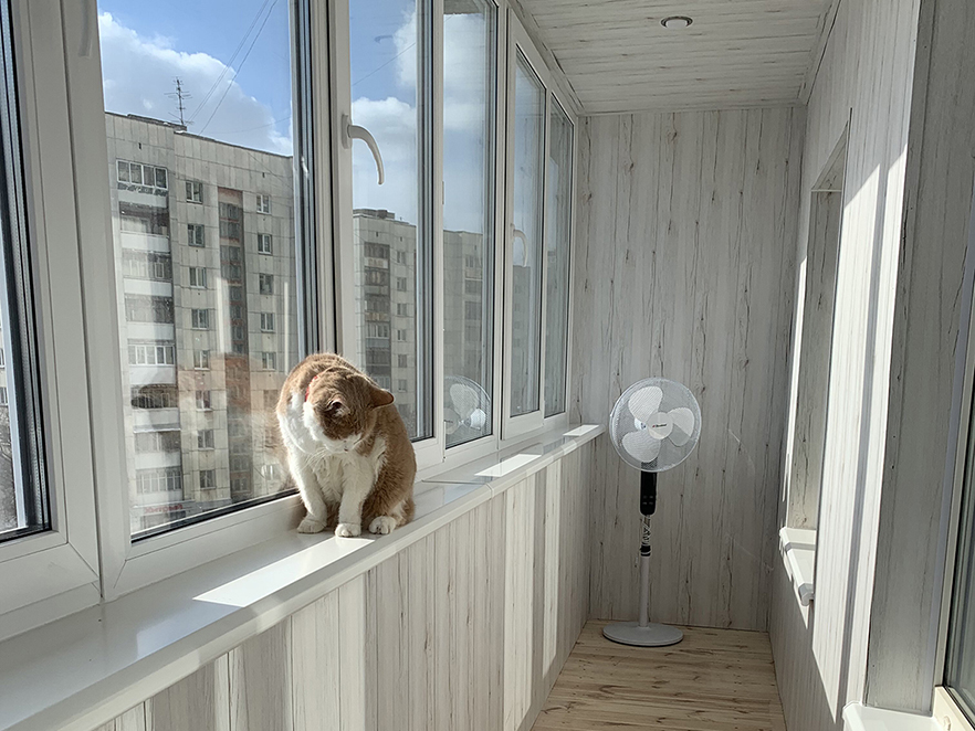Балкон с МДФ-панелями Сосна Астана